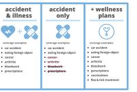 How does pet insurance work for different animals?