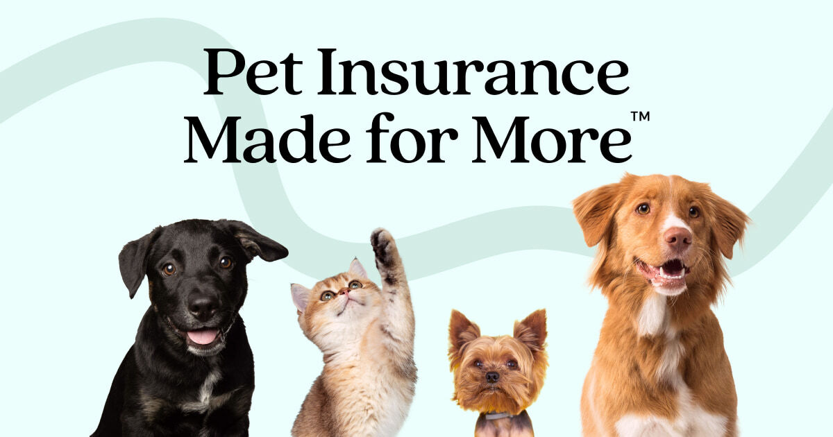 How does pet insurance work for different animals?