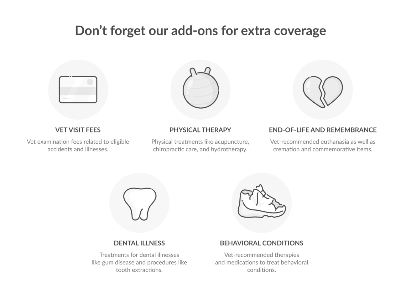 All you need to know about Pet Insurance