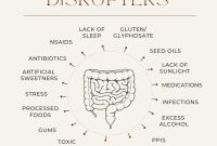 How To Improve Gut Health With Dietary Changes