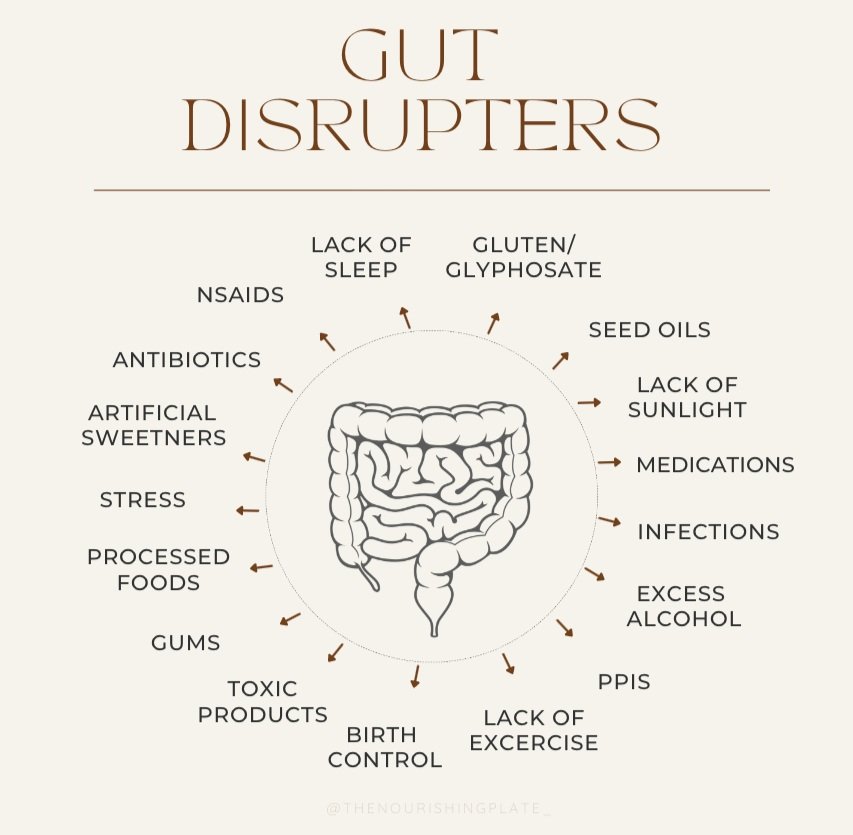 How To Improve Gut Health With Dietary Changes