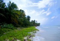 Best Websites For Booking Last Minute Travel